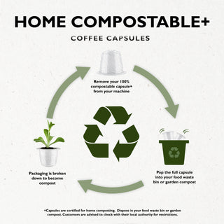 Indian Monsoon Home Compostable Coffee Pods_6